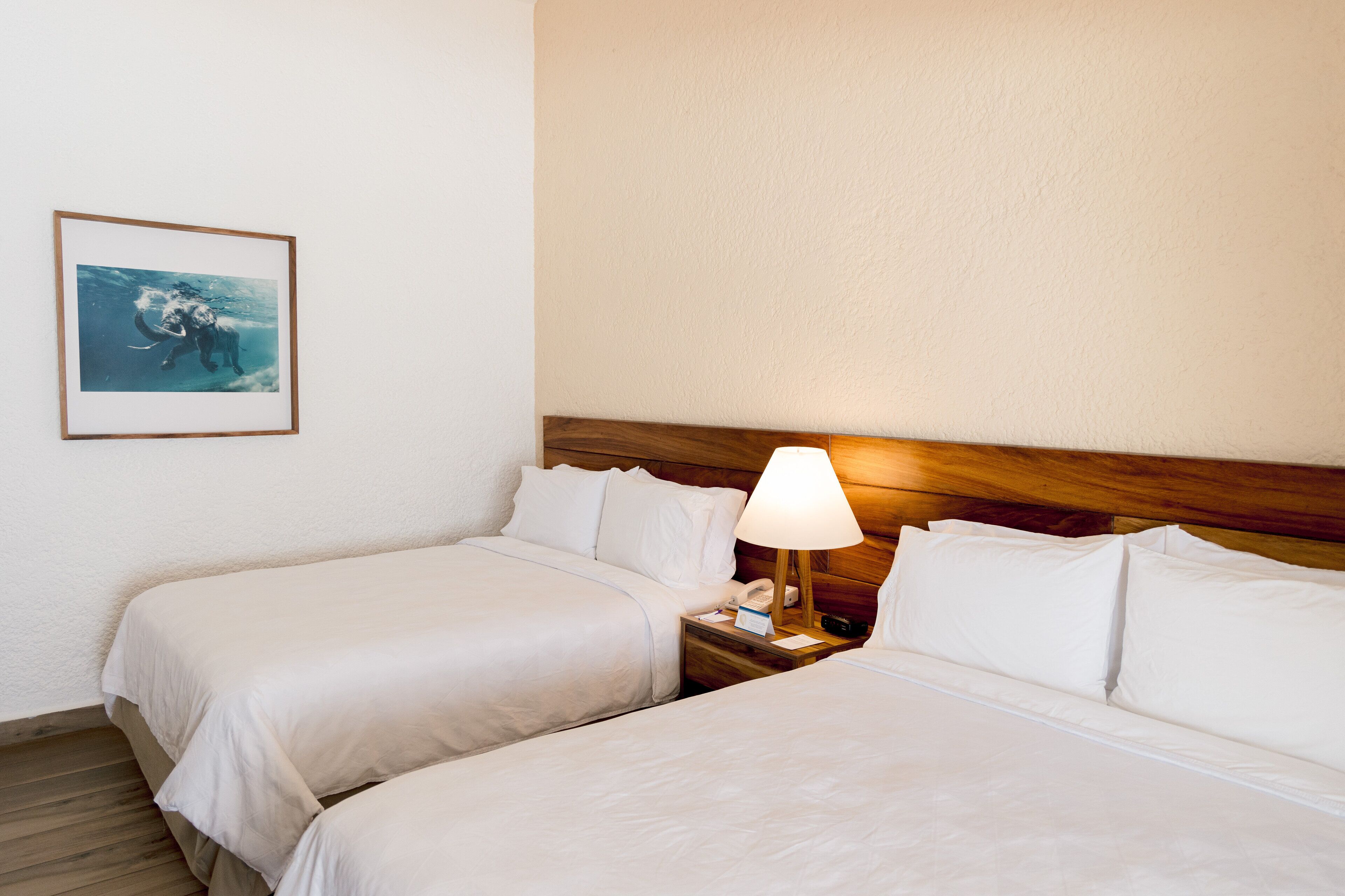A hotel room with two beds, a wooden headboard, a bedside lamp, and a framed picture on the wall.