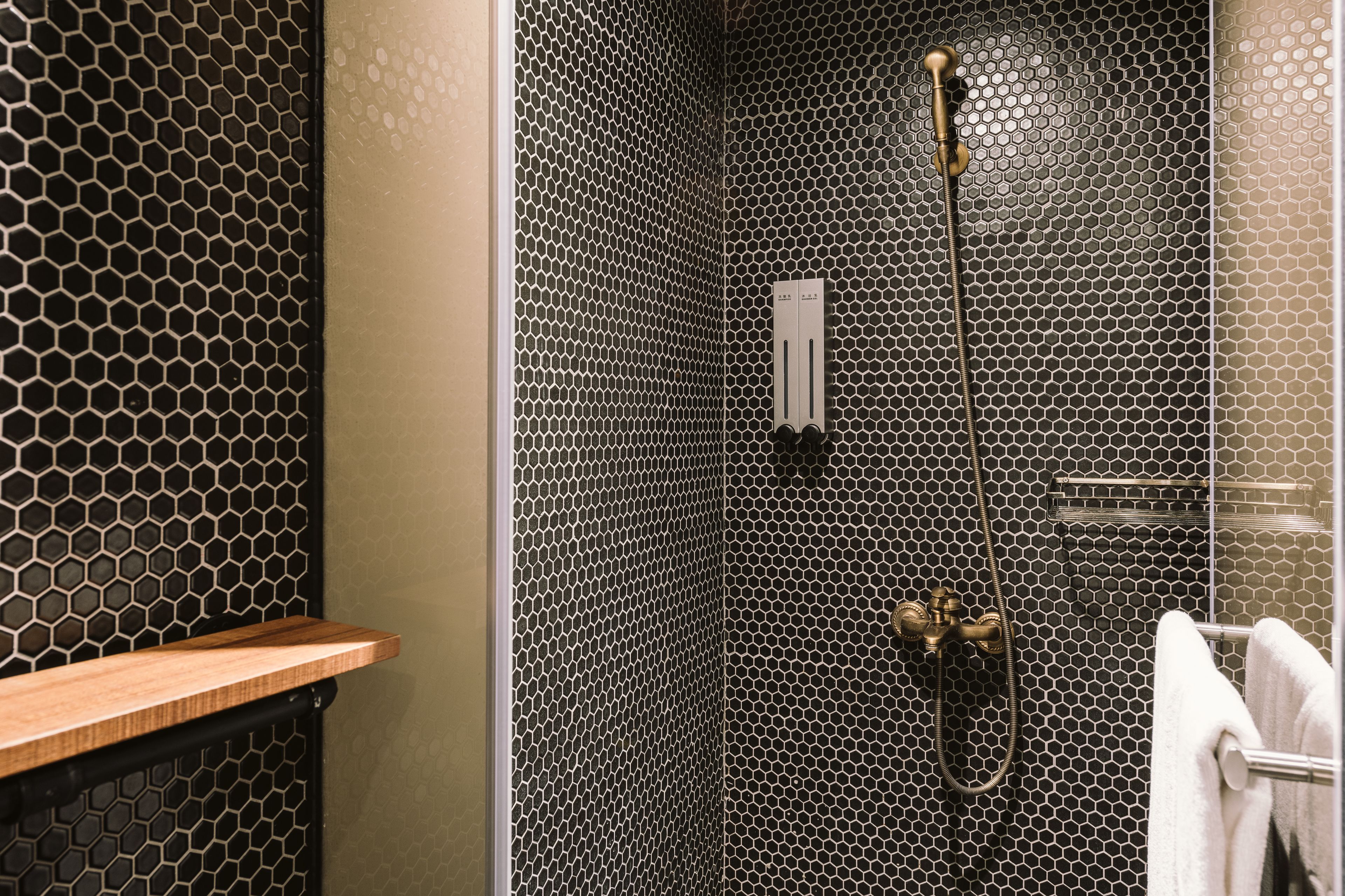 deluxe family room | bathroom shower