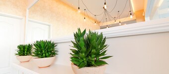 Art Cottage Boutique Hotel