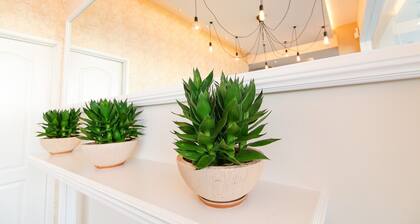 Art Cottage Boutique Hotel