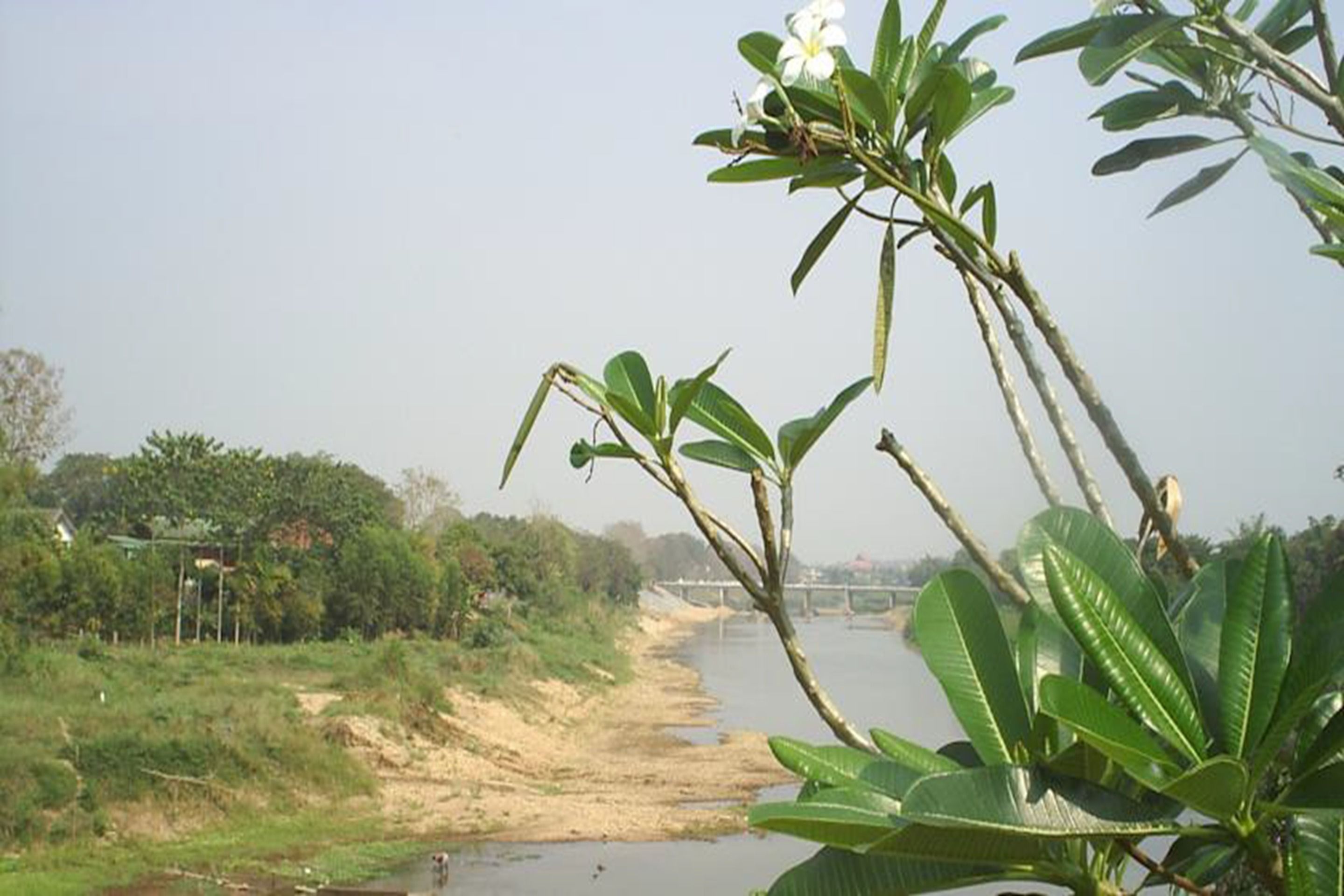Orilla de río con un puente a lo lejos, rodeada de vegetación y un cielo despejado.