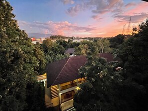 Vista al jardín