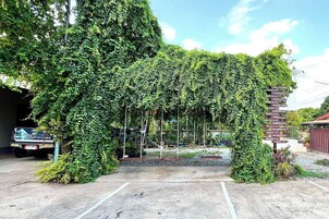 Un área de estacionamiento con un arco cubierto de hiedra verde que conduce a la entrada de un edificio.