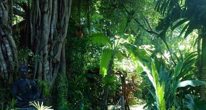 Jungle Bay Resort