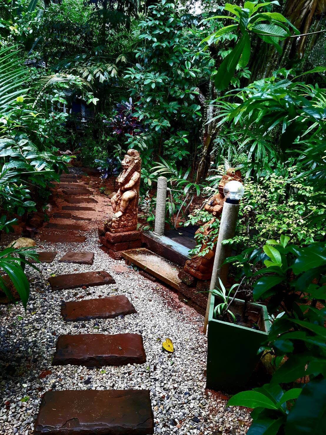 A garden pathway with steps leading through lush greenery, surrounded by various plants and a statue.