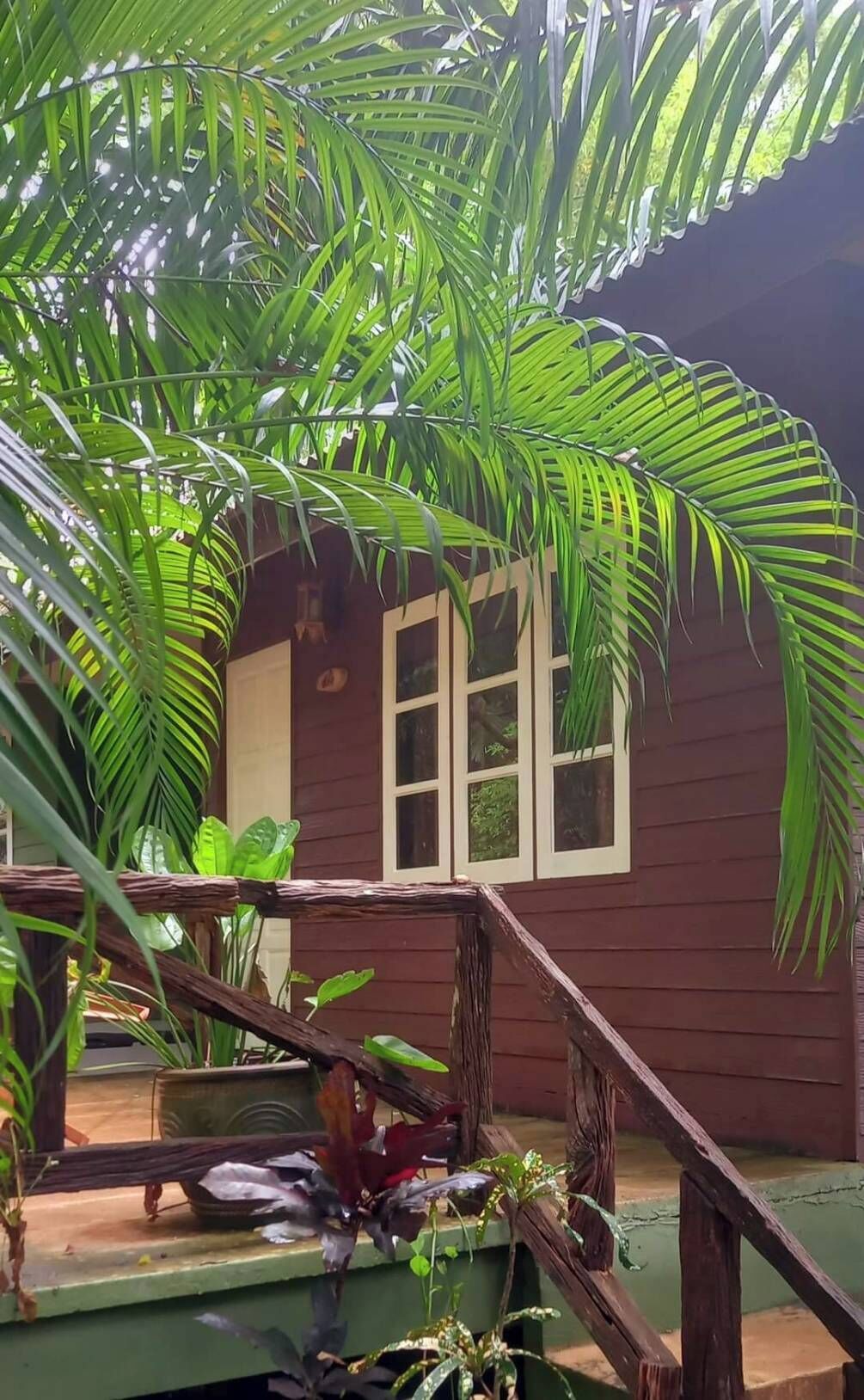 A wooden house with a porch, surrounded by lush green foliage.