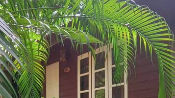 A wooden house with a porch, surrounded by lush green foliage.