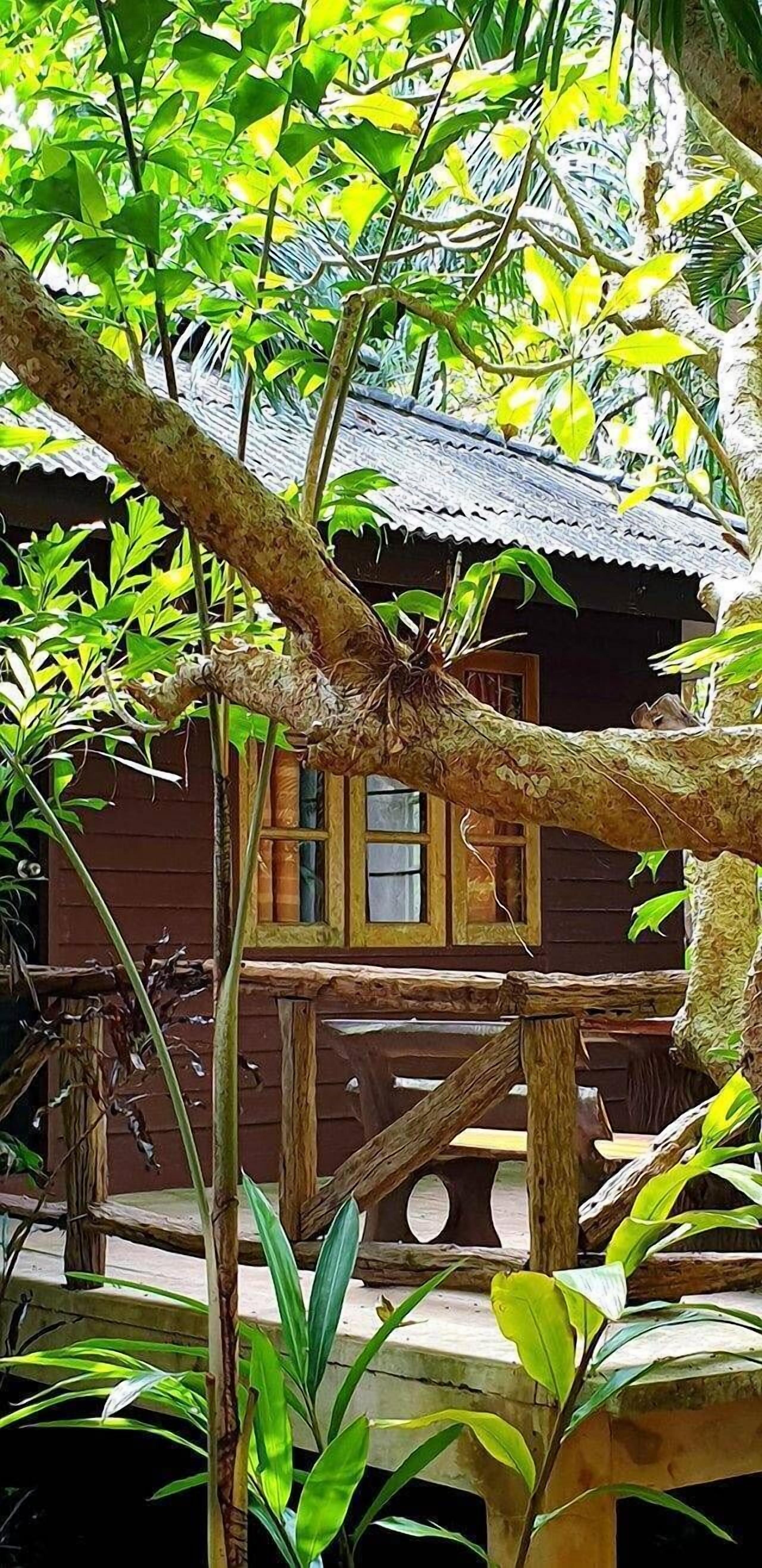 บริเวณที่พัก