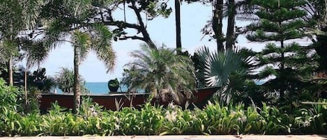 Una piscina rodeada de exuberante vegetación y palmeras, con vista al océano de fondo.