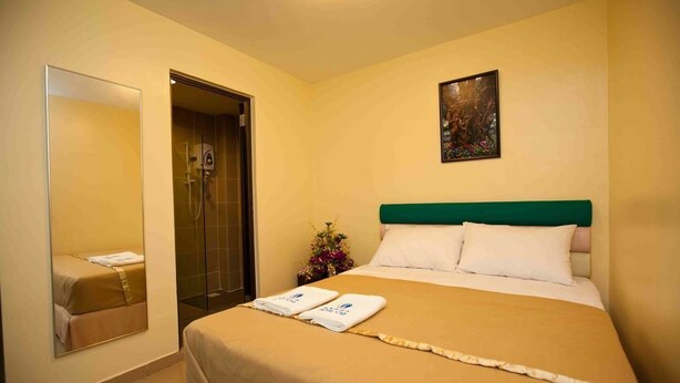 Une chambre d’hôtel avec un lit, une douche, un miroir et un tableau au mur.