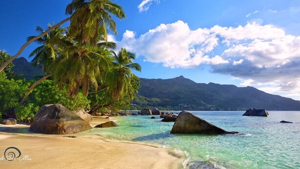 A beach with clear turquoise water, palm trees, and large rocks. - South Point Villas (Cerf Island)
