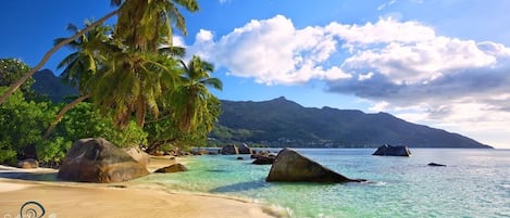 Private beach nearby, snorkelling, kayaking, rowing