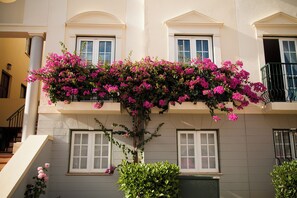 Exterior - Old Village & Prestige (Loulé)