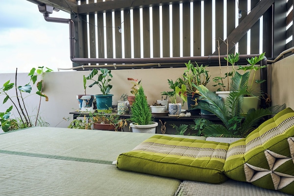 Rooftop terrace