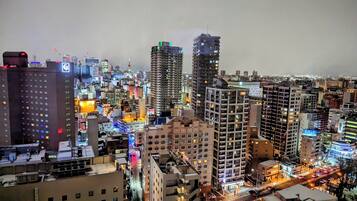 Superior Double Room, Non Smoking | View from room