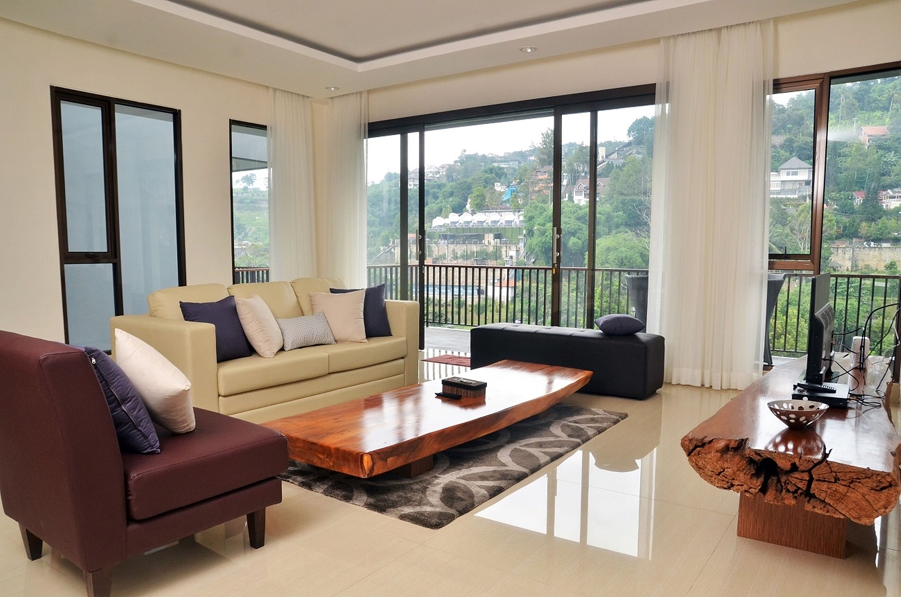 平面電視、DVD 播放機