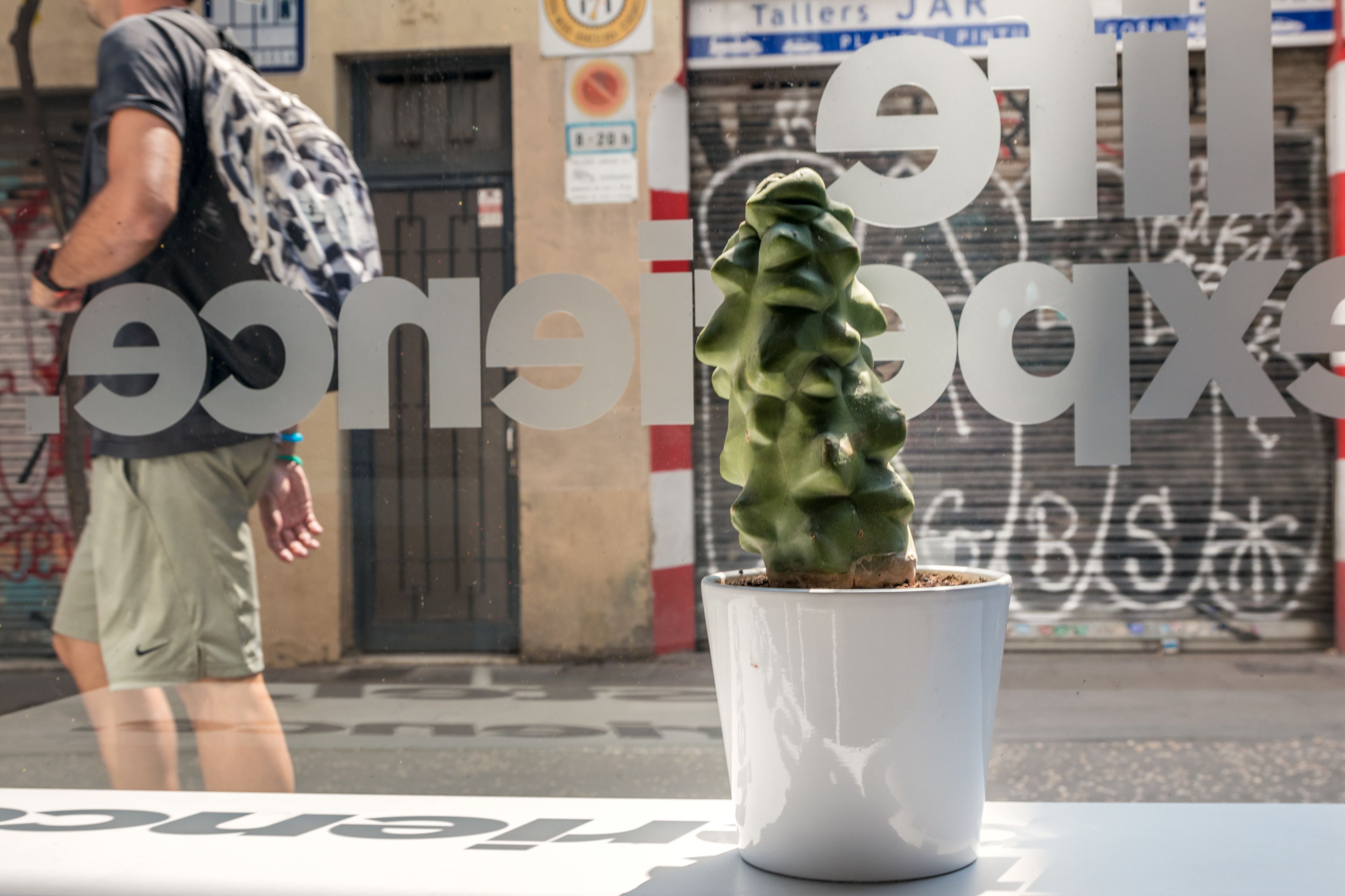 Foto - Sant Jordi Hostels Gracia