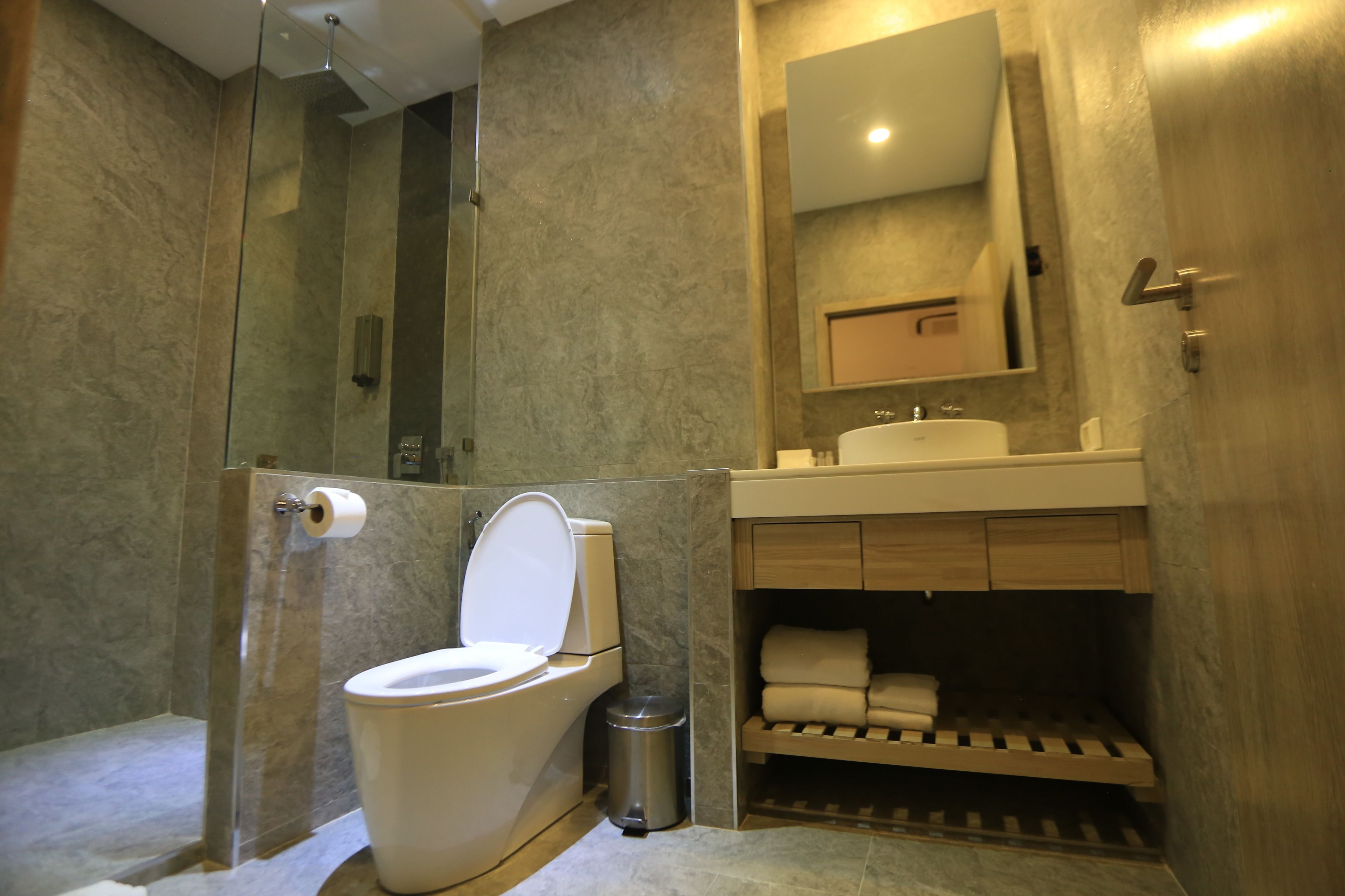 A modern bathroom with a glass-enclosed shower, a toilet, a sink, and a mirror.