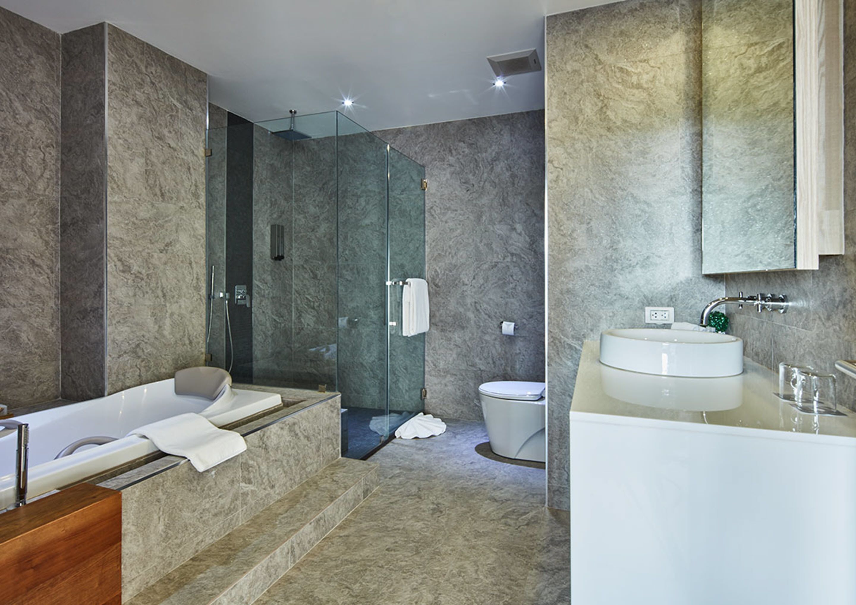 executive garden view include onsen | bathroom | deep-soaking bathtub, rainfall showerhead, free toiletries, hair dryer