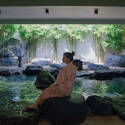 Indoor spa tub