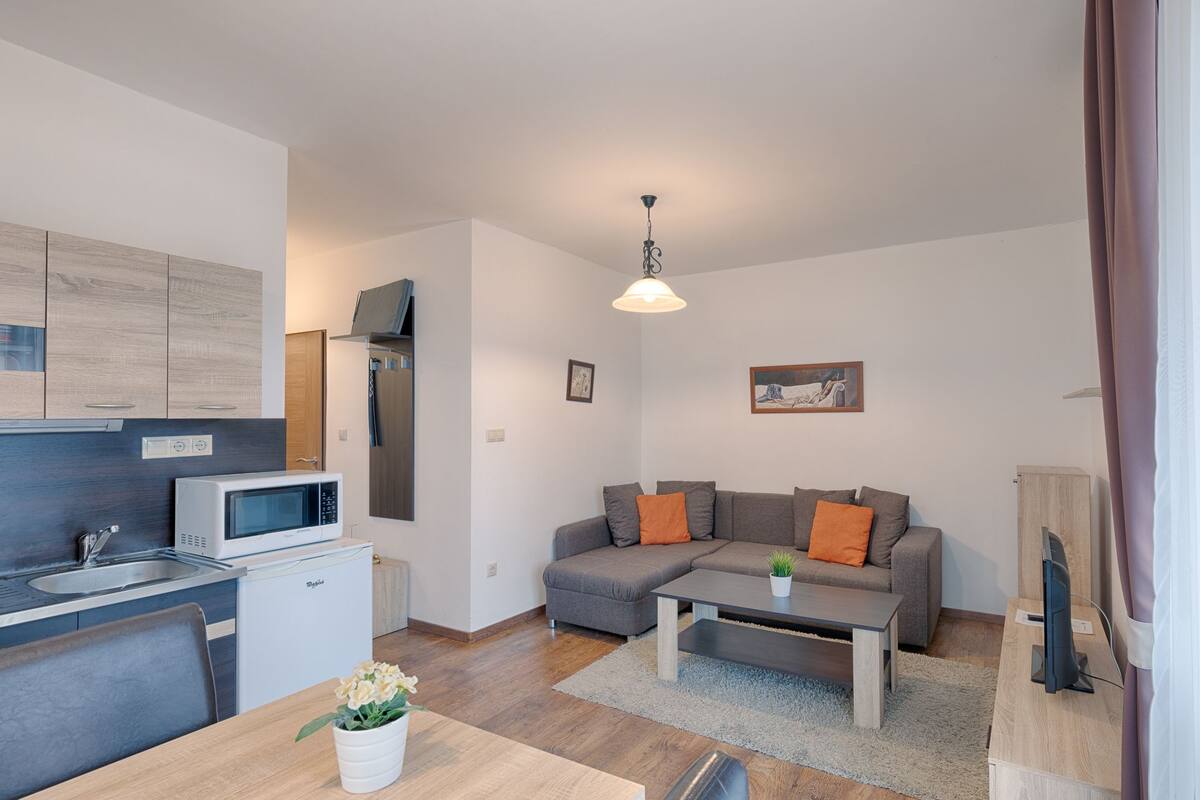 Superior Apartment | Living area | 82-cm flat-screen TV with cable channels, TV