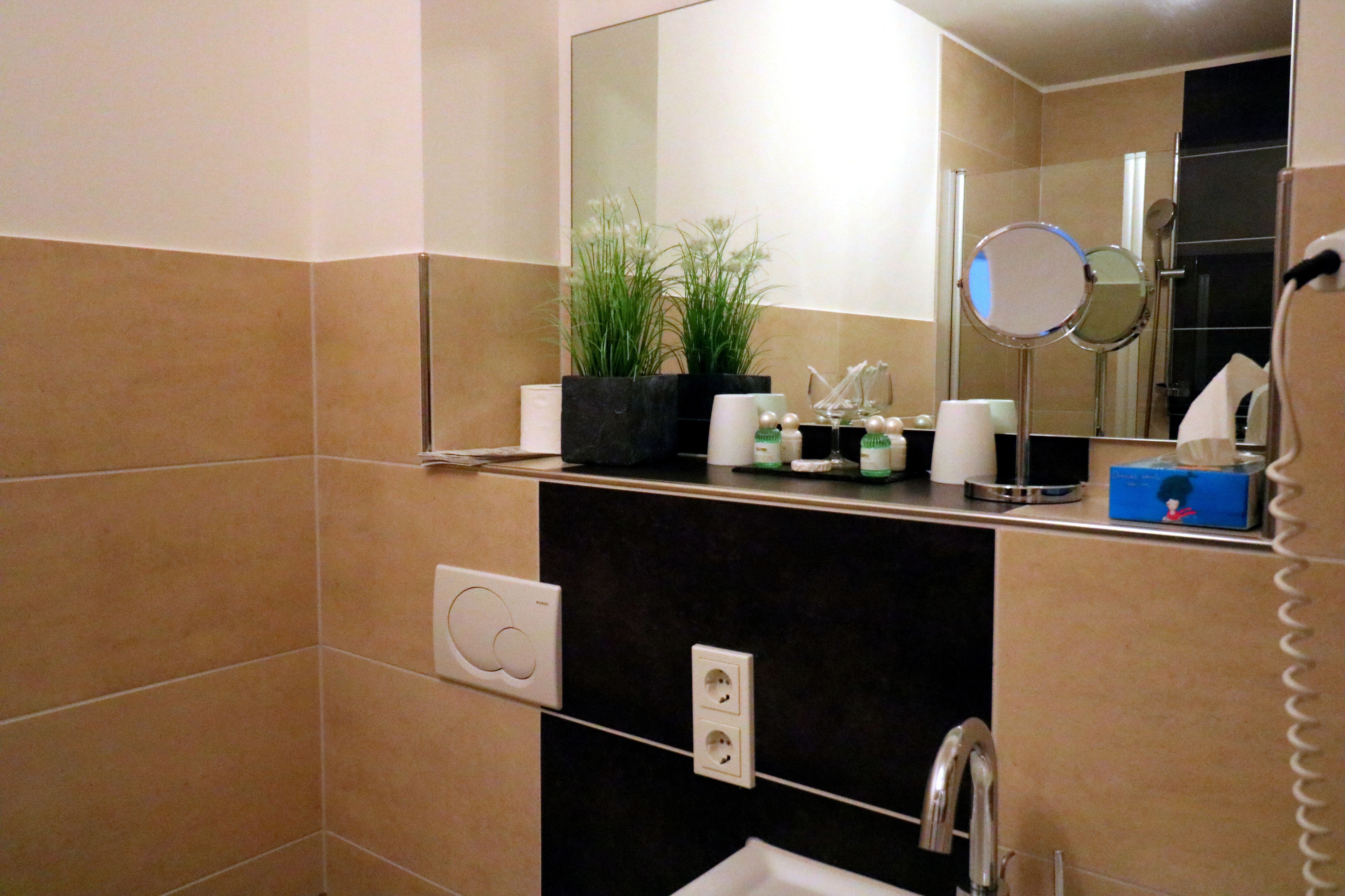 shower, rainfall showerhead, free toiletries, hair dryer