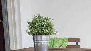A metal-framed table with a potted plant on top, a blue cushion, and a white hat on a bench. - Paphos Love Nest Apartment (Paphos)