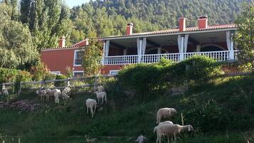 Una casa con balcón, rodeada de césped y ovejas.