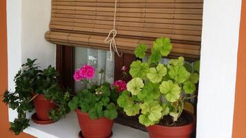Una ventana con persiana de madera, tres macetas con plantas y un adorno colgante.