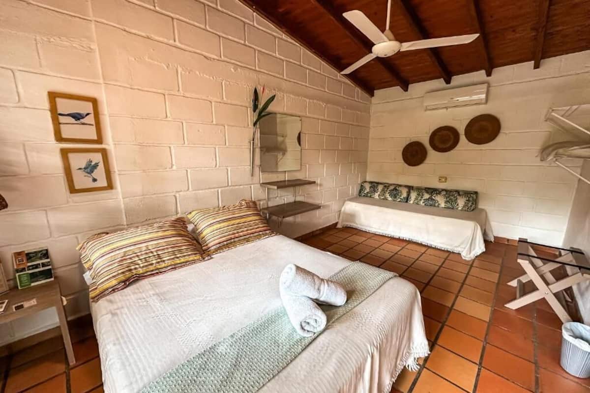 A bedroom with a bed, a nightstand, a ceiling fan, a mirror, and a wall with decorative plates.