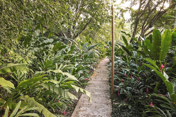 Blick auf den Garten