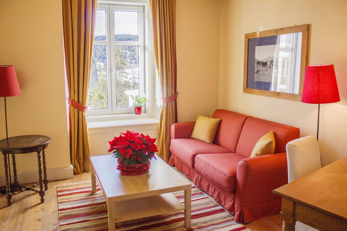 Ein Wohnzimmer mit Sofa, Couchtisch mit Topfpflanze, Fenster mit Vorhängen und einem gerahmten Bild an der Wand.
