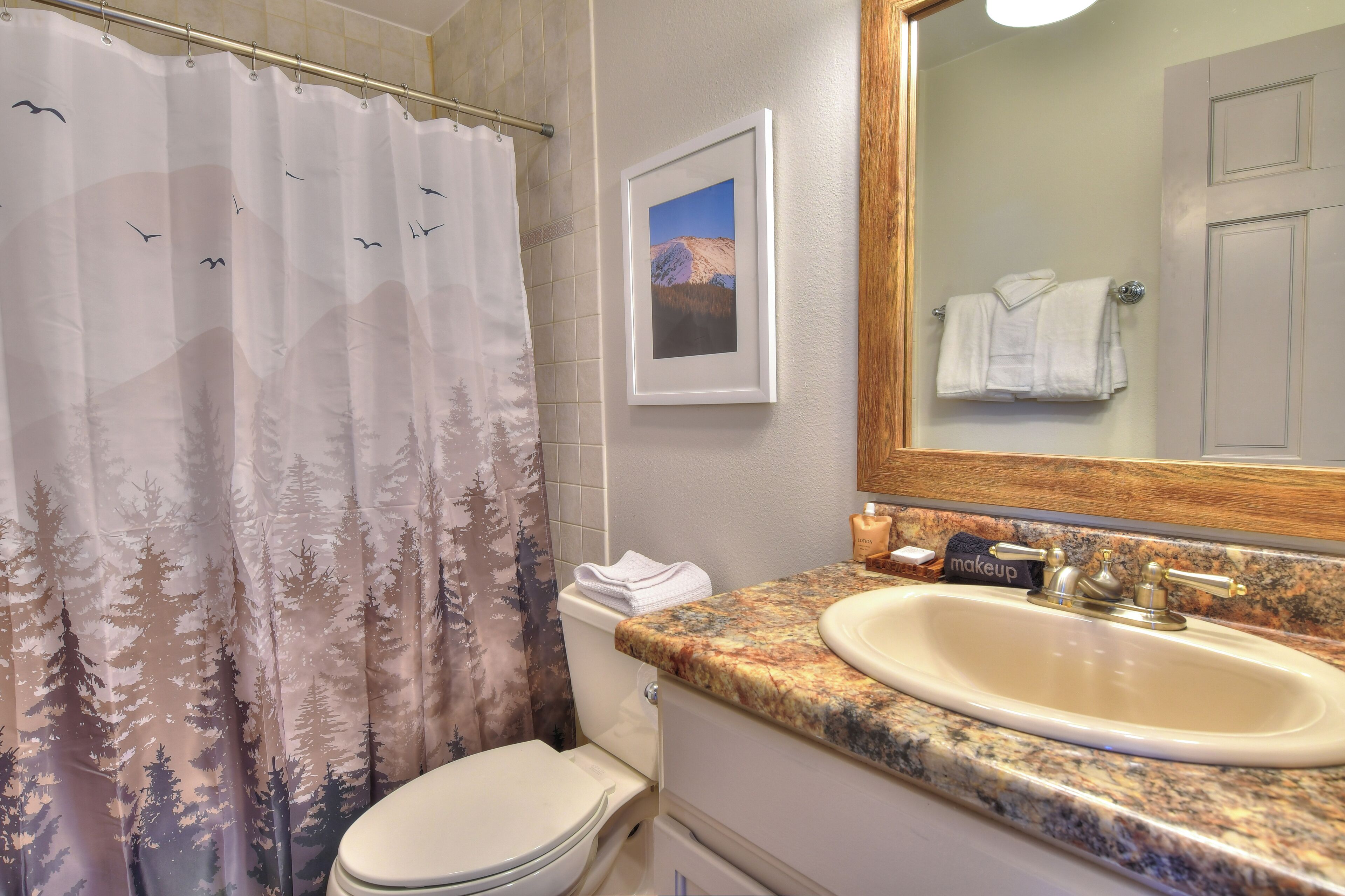 Un bagno con tenda da doccia, water, lavandino e un quadro incorniciato appeso al muro.