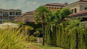 Un quartier résidentiel composé de plusieurs maisons dotées de toits recouverts de tuiles rouges et entouré d’une végétation luxuriante, notamment des palmiers et des haies.