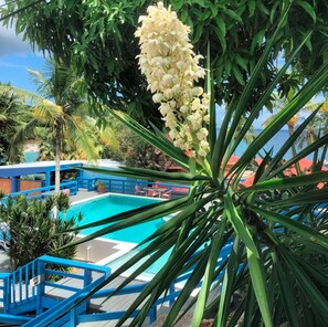 Habitación, vistas al puerto | Vistas desde la habitación