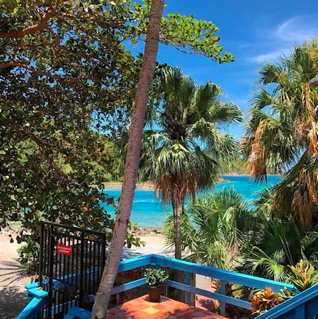 Vista desde la propiedad