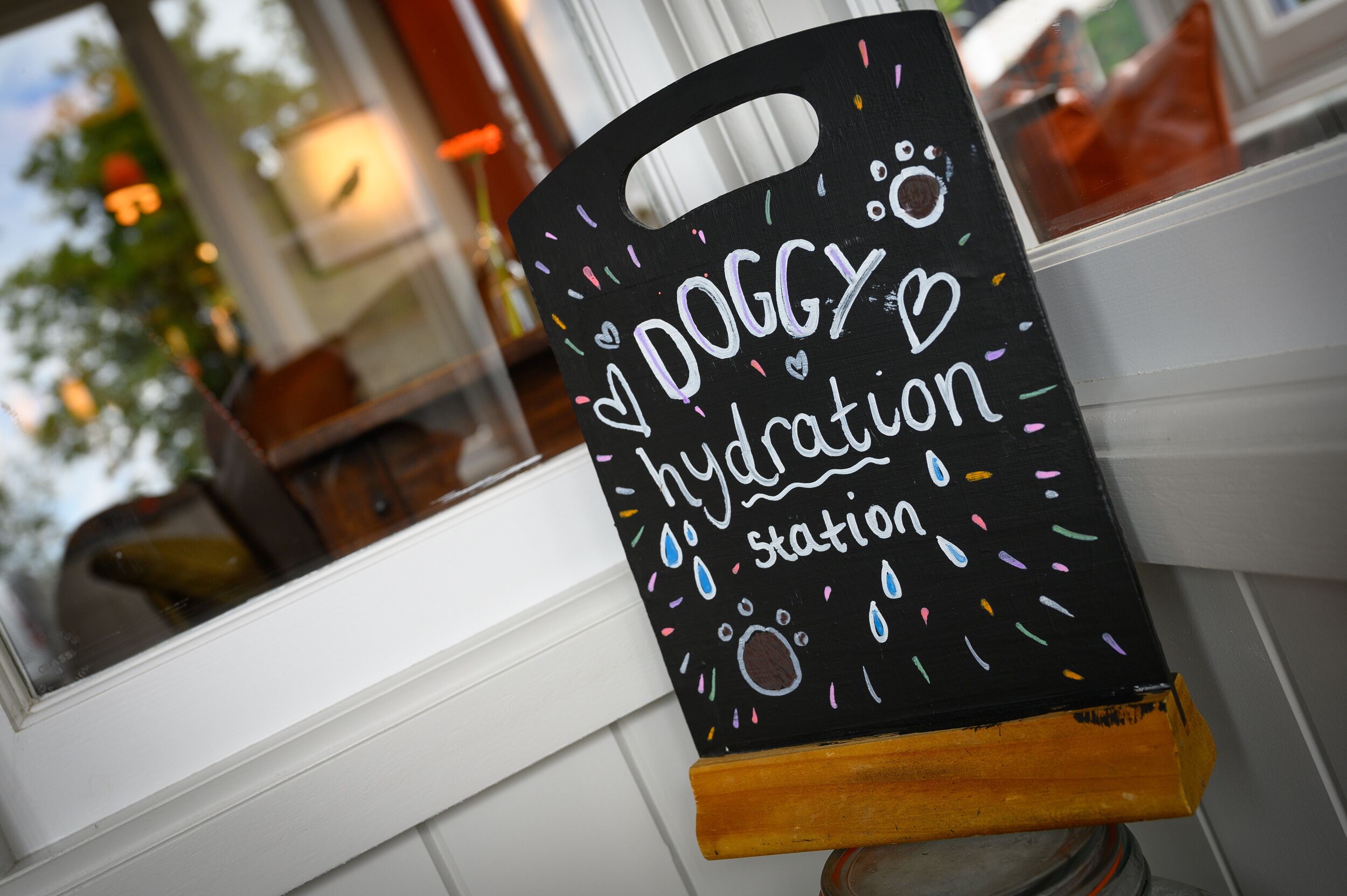 A black sign with white text and drawings, reading "DOGGY hydration station," mounted on a wooden stand.