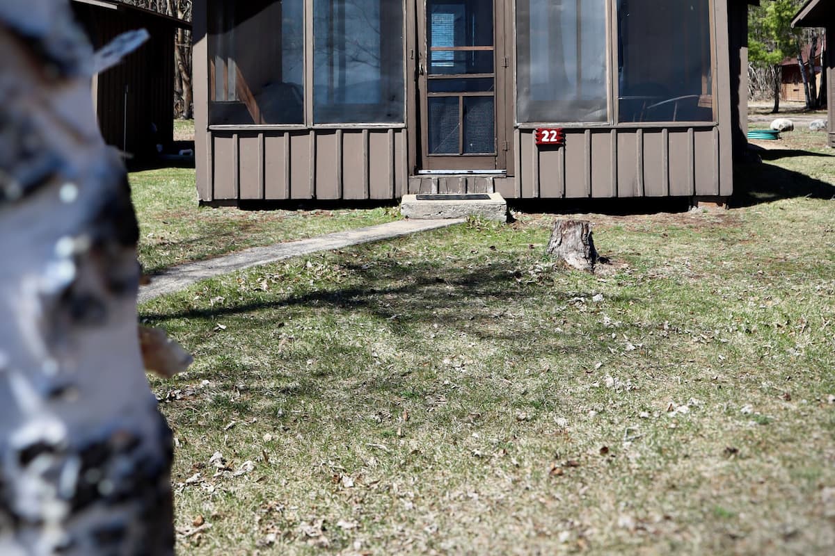 Een klein, laag vakantiehuisje met een voordeur en grote ramen, gelegen in een gazon omringd door bomen.