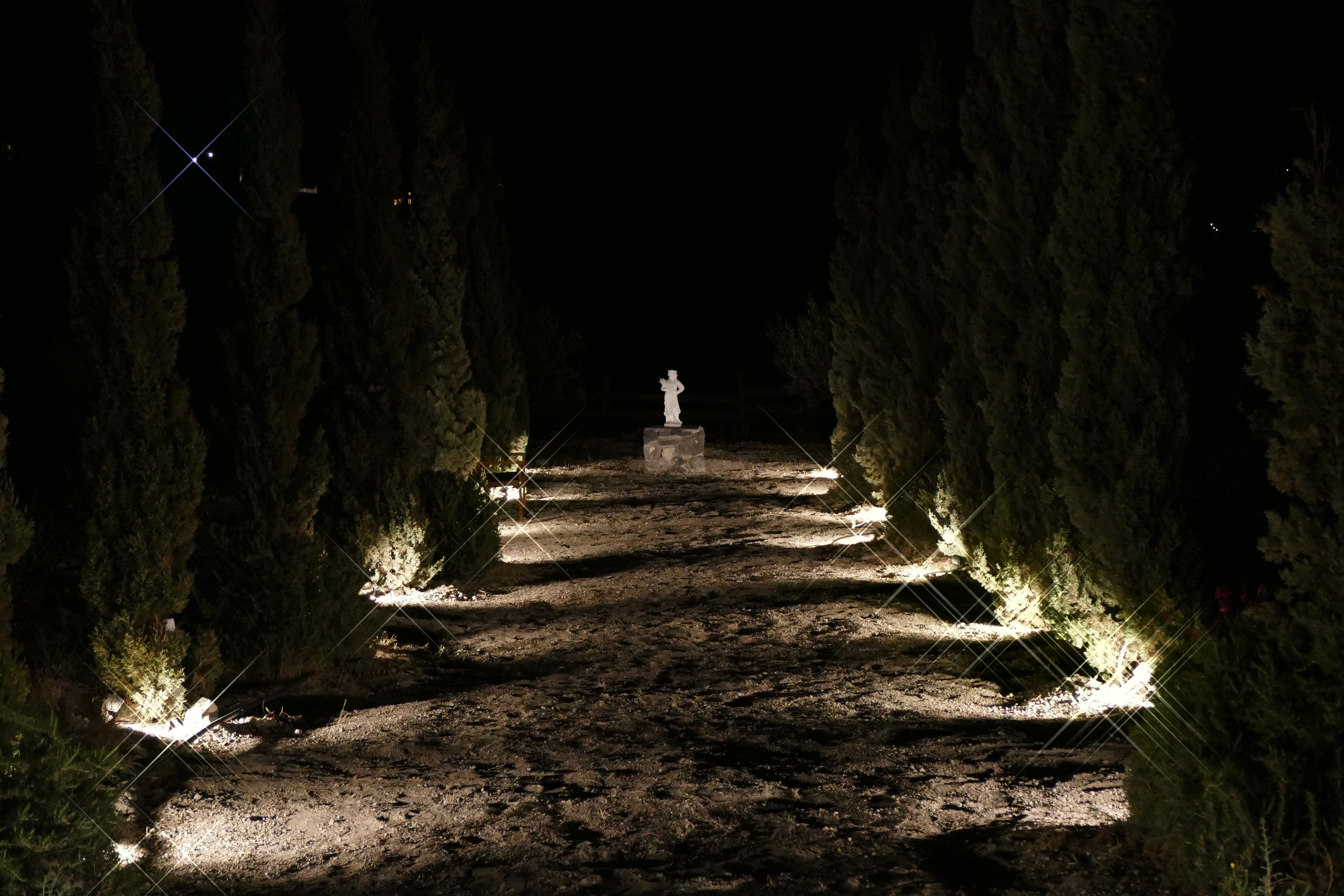 A pathway leading to a statue surrounded by trees, with lights along the path.