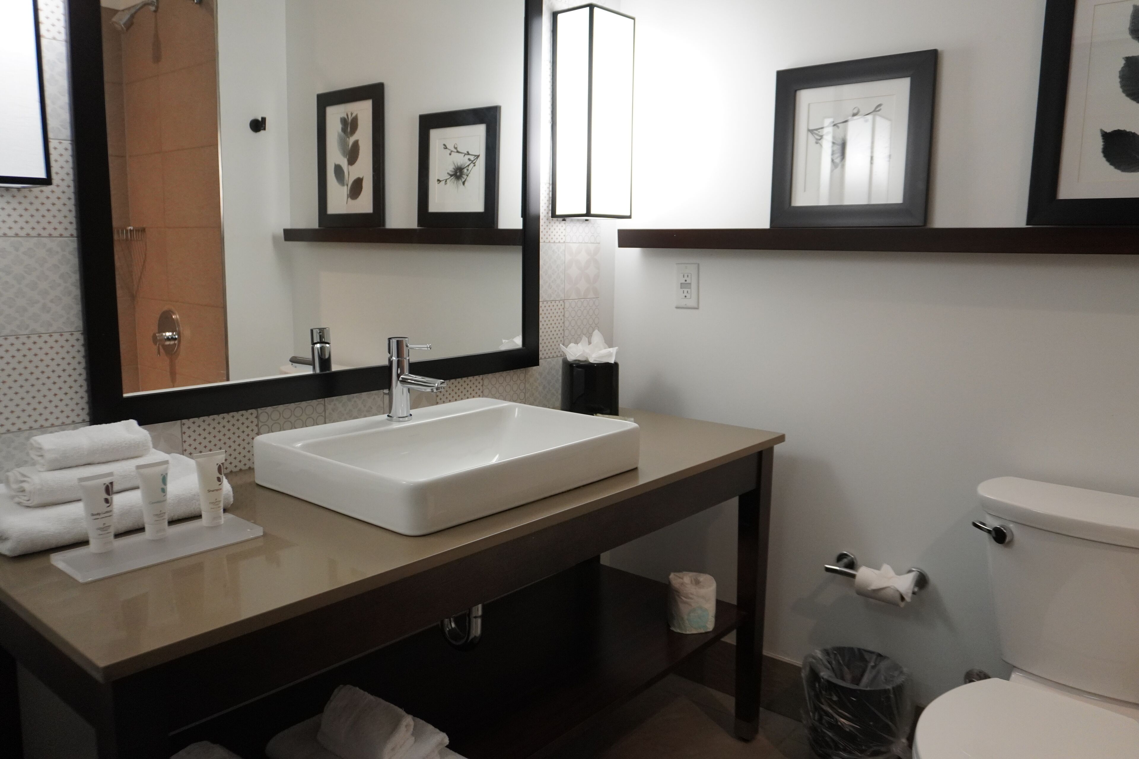 free toiletries, hair dryer, towels