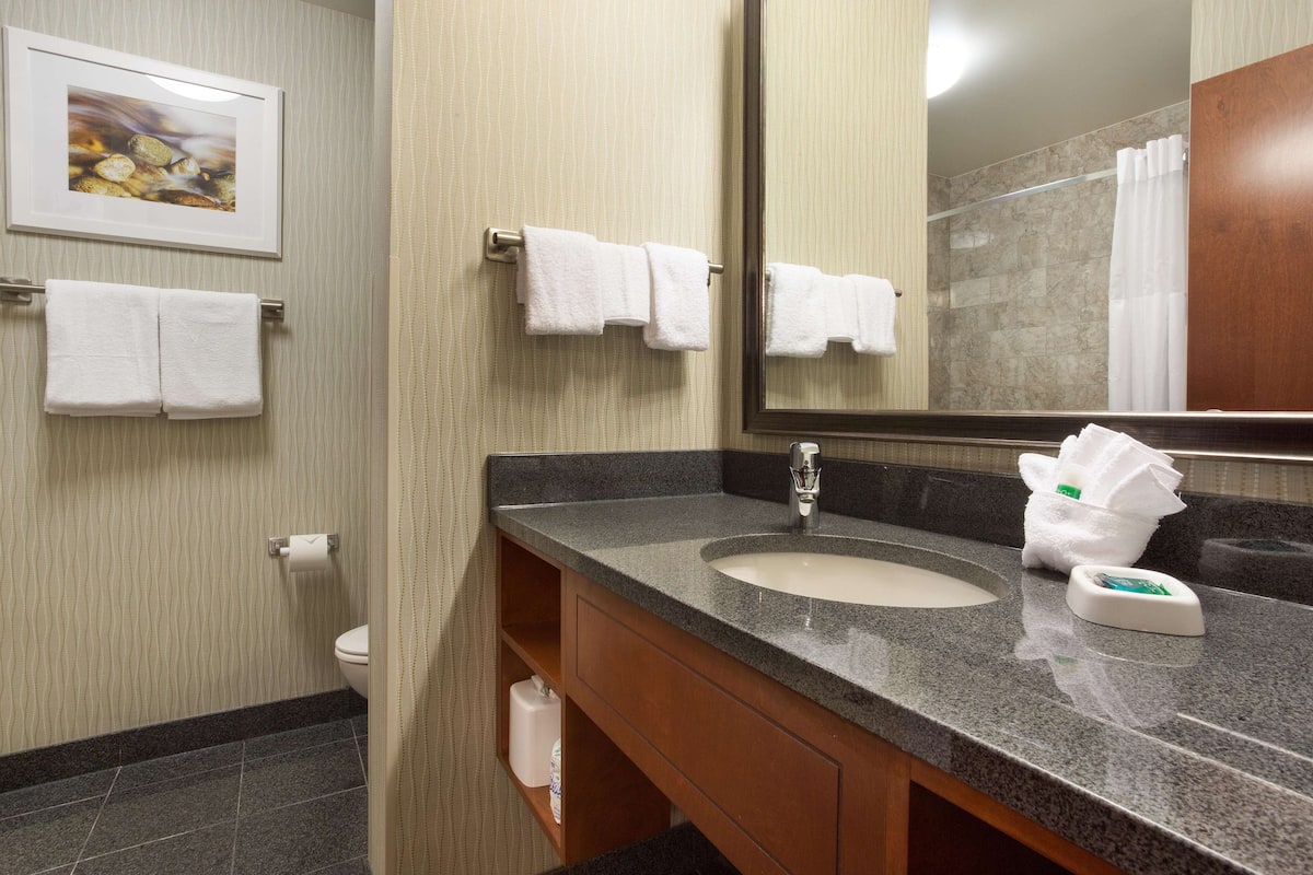 combined shower/bathtub, free toiletries, hair dryer, towels