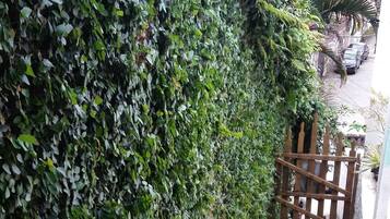 Vista dalla struttura