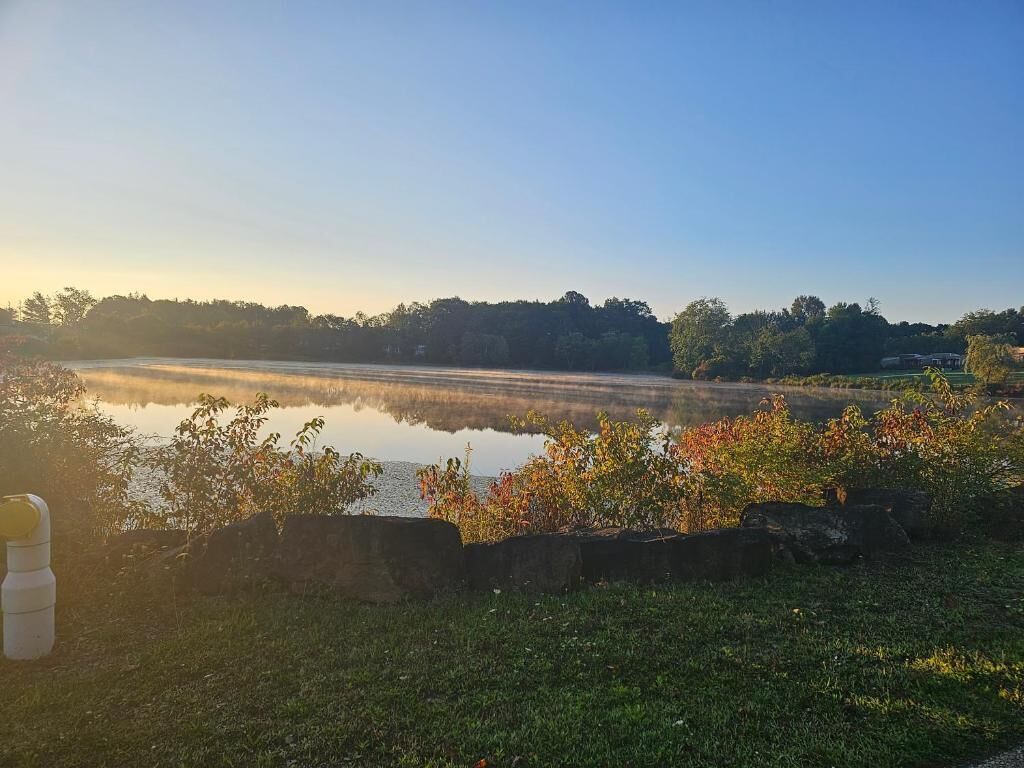 A tranquil lakeside view with a clear sky, a grassy foreground, and a distant tree line.