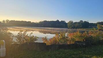 A tranquil lakeside view with a clear sky, a grassy foreground, and a distant tree line.