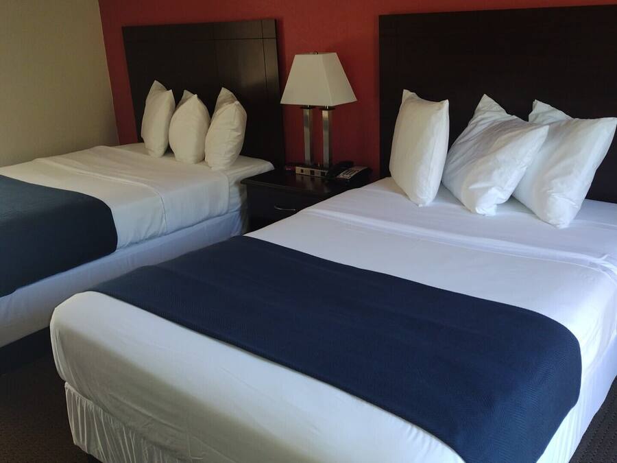 Dos camas matrimoniales con ropa de cama blanca y azul marino, una mesita de noche con lámpara y una pared de acento roja.