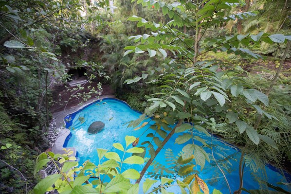 2 outdoor pools, pool umbrellas - Hotel Jacarandas (Cuernavaca)