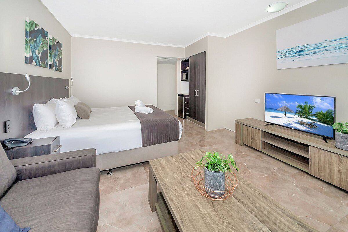 Una habitación de hotel moderna con una cama, un televisor, un sofá y una mesa de centro con una planta.