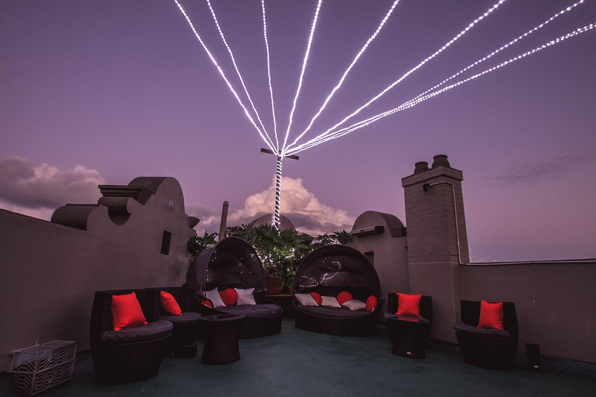 Photo - Mad Monkey Bayswater