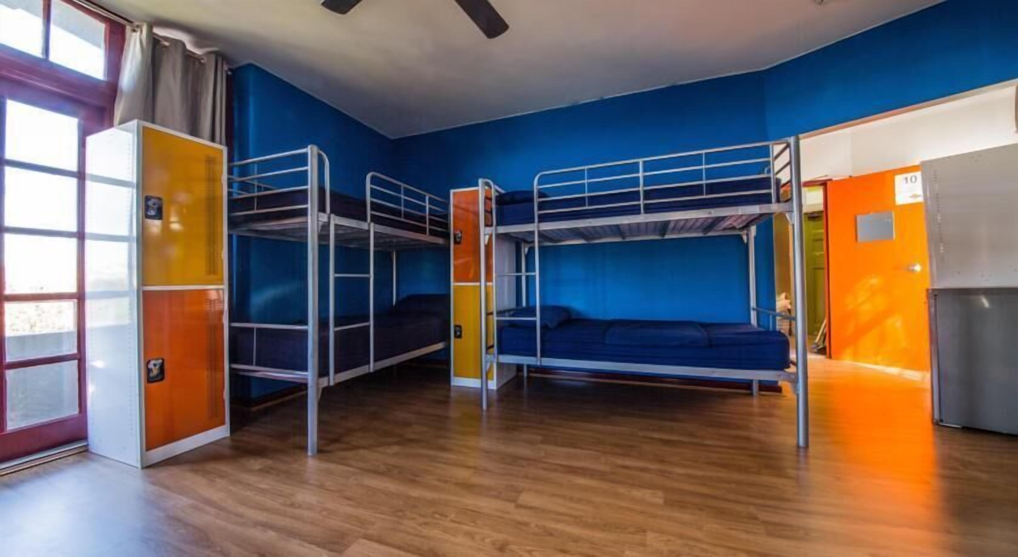 Photo - Mad Monkey Bayswater