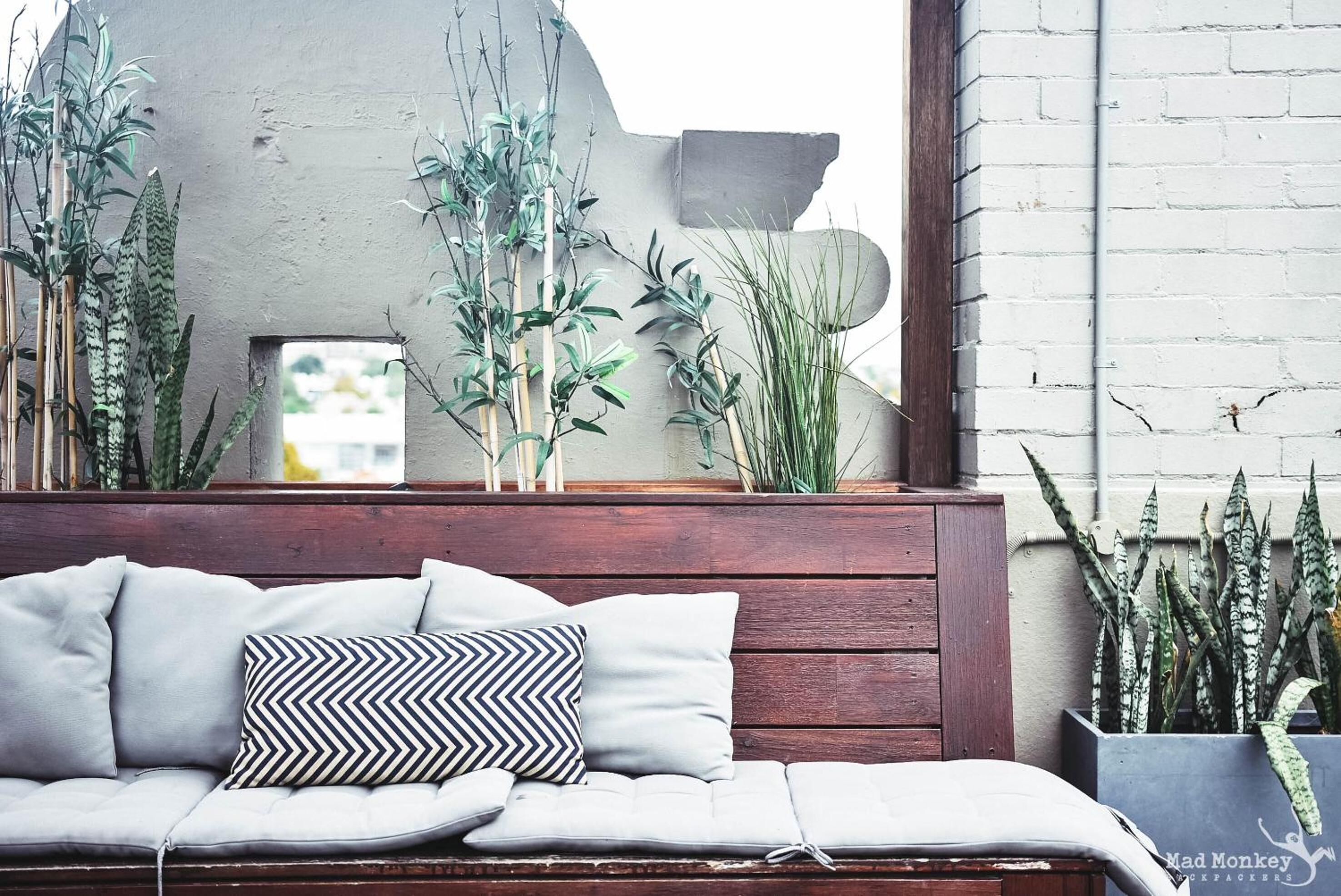 Photo - Mad Monkey Bayswater